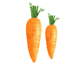 carrot_btn